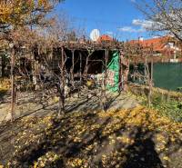 Garten in der Mittelstraße in Bratislava - Ružinov mit Weinreben und Unterstand.