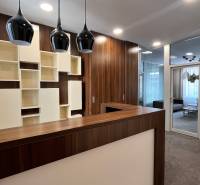 Empfangsbereich mit Holzdekor und moderner Beleuchtung in den Büros in der Radlinského-Straße.