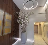 In den Büros gibt es plastische Wände, Lichtinstallationen und Dekorationen in einer Vase.