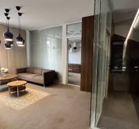 Büros mit Sofas und Couchtisch, Boden mit Holzdekor, Glaswände.