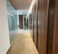 Ein Flur in Büros mit Glaswänden, Boden mit Holzdekor.