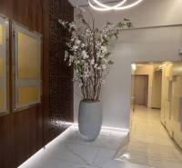 Büros mit einer Vase mit Trockenblumen, Holzdekorationen und interessanter Beleuchtung über dem Eingang.