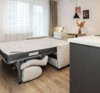 Zimmer mit ausziehbarem Sofa, Holzboden, helle Vorhänge, Einzimmerwohnung.