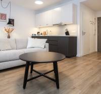 Wohnzimmer mit Küchenzeile in einer Einzimmerwohnung, Boden mit Holzdekor.