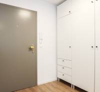 Eingangsbereich in einer Einzimmerwohnung mit weißem Schrank und Boden in Holzoptik.