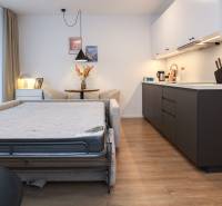 Innenraum einer Einzimmerwohnung mit Küchenzeile, Sofa und Boden in Holzoptik.