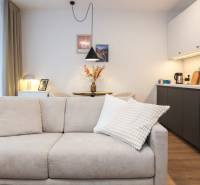 Wohnbereich mit Sofa und Küchenzeile in einer Einzimmerwohnung mit Holzboden.