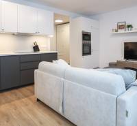 Wohnzimmer einer Einzimmerwohnung mit Küchenzeile, Sofa und Boden in Holzoptik.