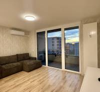 Wohnzimmer in einer 2-Zimmer-Wohnung mit Sofa, Esstisch und Holzboden.