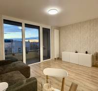 Wohnzimmer mit Sofa und Holzboden, 2-Zimmer-Wohnung.