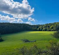 Grüne landwirtschaftliche und forstwirtschaftliche Flächen in Lúčky mit Bäumen und Himmel mit Wolken.
