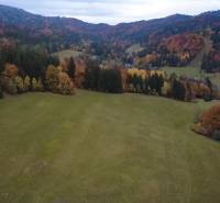 Schöne Herbstwälder umgeben die Erholungsgrundstücke in Lazy pod Makytou auf Čertov.