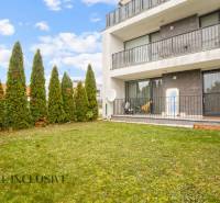 Garten bei einer 3-Zimmer-Wohnung in Dunajská Streda mit Terrasse und Hecke.
