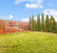 Ein Rasen, umgeben von einer Hecke und Zierbäumen in Dunajská Streda.