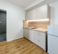Küchenzeile mit weißen Schränken, Holzelementen, neben einem Kühlschrank, in einer 2-Zimmer-Wohnung.