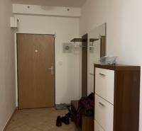 Eingangsflur in einer 3-Zimmer-Wohnung mit Schuhschrank, Kleiderhaken und Spiegel. Boden aus Keramikfliesen.