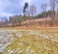 Ein schneebedecktes Feld am Waldrand in Čierne v Makove, geeignet für Wohnbaugrundstücke.