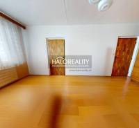 Ein Zimmer in einer 3-Zimmer-Wohnung mit Holzboden, großem Fenster und Einbauschrank.