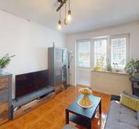 Ein Wohnzimmer in einer 3-Zimmer-Wohnung mit Holzboden und Zimmerpflanzen.