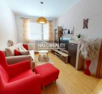 Wohnzimmer in einer Zweizimmerwohnung mit Holzdekorboden und roten Sesseln.