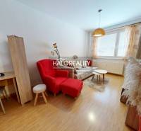 Wohnzimmer in einer Zweizimmerwohnung mit einem Tisch, einem roten Sessel und einem Boden in Holzoptik.