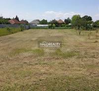 Ein gepflegter Rasen in den Gärten von Marcelová mit Blick auf die umliegenden Häuser.