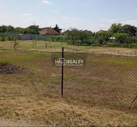 Gärten in Marcelová mit Rasenfläche und Umzäunung, Bäume im Hintergrund.