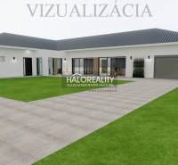 Visualisierung eines Einfamilienhauses in Veľký Kýr mit Rasen und Garage.