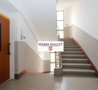 Flur mit Aufzug und Treppenhaus, die in die Etage einer 2-Zimmer-Wohnung führen.