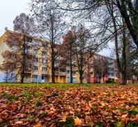 Blick auf das Wohnhaus in der Ľudová-Straße im Stadtteil Západ, Košice, aus dem Herbstpark.