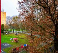 Blick auf den Kinderspielplatz und die Bäume von einer 2-Zimmer-Wohnung in der Ľudová-Straße in Košice.