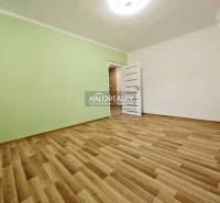 Geräumiges Zimmer in einer 2-Zimmer-Wohnung mit Holzboden und hellgrüner Wand.