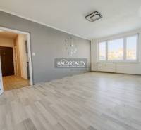 Wohnzimmer in einer 2-Zimmer-Wohnung mit Holzboden und großen Fenstern.