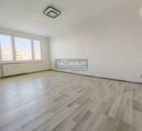 Ein Zimmer mit großen Fenstern und einem Boden in Holzoptik in einer 2-Zimmer-Wohnung.