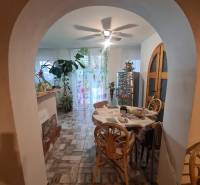 Esszimmer in einem Einfamilienhaus mit Pflanzen und Holzstühlen, beleuchtet von einem Deckenventilator.