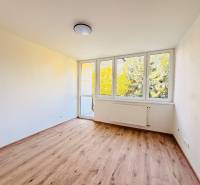 Ein Zimmer mit großen Fenstern und einem Boden in Holzoptik in einer 3-Zimmer-Wohnung.