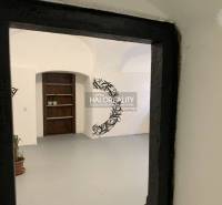 Innenräume von Büros mit weißen Wänden und schwarzen Verzierungen, Pflanzen auf dem Boden.