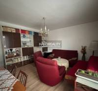 Wohnzimmer in einer 3-Zimmer-Wohnung mit Holzboden und roten Sesseln.