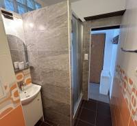 Badezimmer mit modernen Fliesen und einer Dusche in einer Einzimmerwohnung.