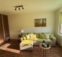 Wohnzimmer einer Einzimmerwohnung mit Sofa, Bild und Holzboden.