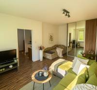 Wohnzimmer in einer Einzimmerwohnung mit Holzboden, grünes Sofa.