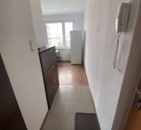 Flur in einer Einzimmerwohnung mit Gegensprechanlage, Schrank und Holzboden.