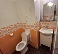 Badezimmer in einer Einzimmerwohnung mit orangefarbenen Fliesen und Waschbecken.