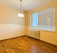 Ein Zimmer in einer 3-Zimmer-Wohnung mit einem Boden in Holzoptik und einem großen Fenster.