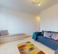 Wohnzimmer mit grauem Sofa, Holzboden und buntem Teppich in einer 3-Zimmer-Wohnung.