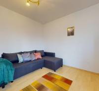 Ein Zimmer in einer 3-Zimmer-Wohnung mit einem Sofa, einem Holzboden und Regalen.