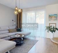 Wohnzimmer in einem Einfamilienhaus mit bequemer Couch, Holzboden und Pflanzen.