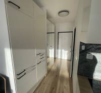 Der Flur in der Einzimmerwohnung mit weißen Schränken und einem Boden in Holzoptik.