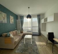 Wohnzimmer einer Einzimmerwohnung mit Sofa, Hirschdekoration und Holzboden.