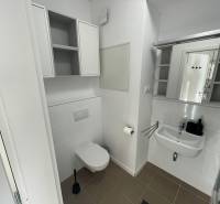 Badezimmer mit Waschbecken und Toilette, ausgestattet mit Aufbewahrungsschränken und Spiegel.